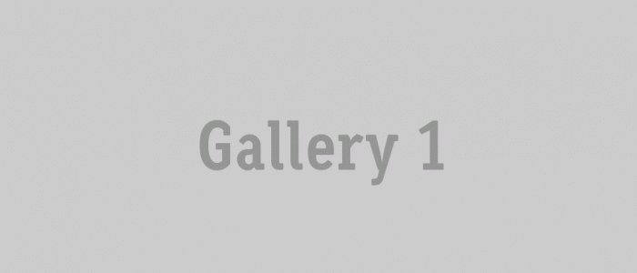 gallery_1